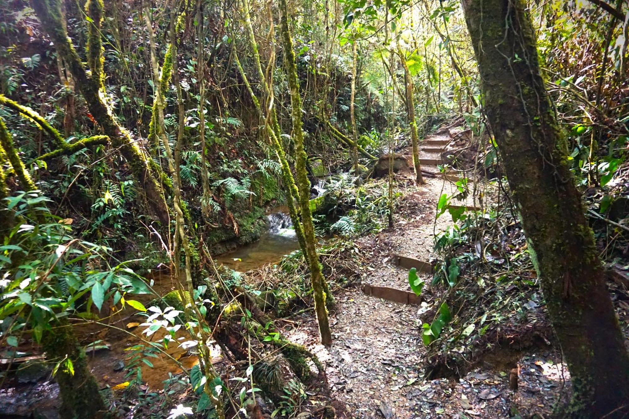 Encanto Minicasitas En Medio De La Naturaleza سانتا إيلينا المظهر الخارجي الصورة