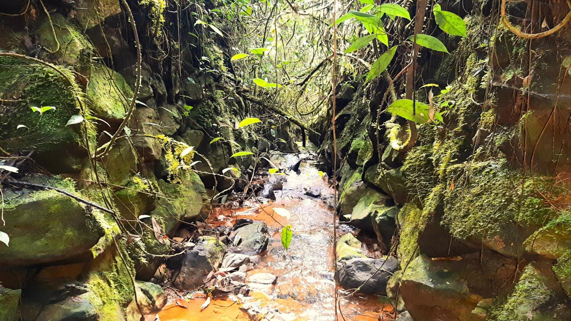 Encanto Minicasitas En Medio De La Naturaleza سانتا إيلينا المظهر الخارجي الصورة
