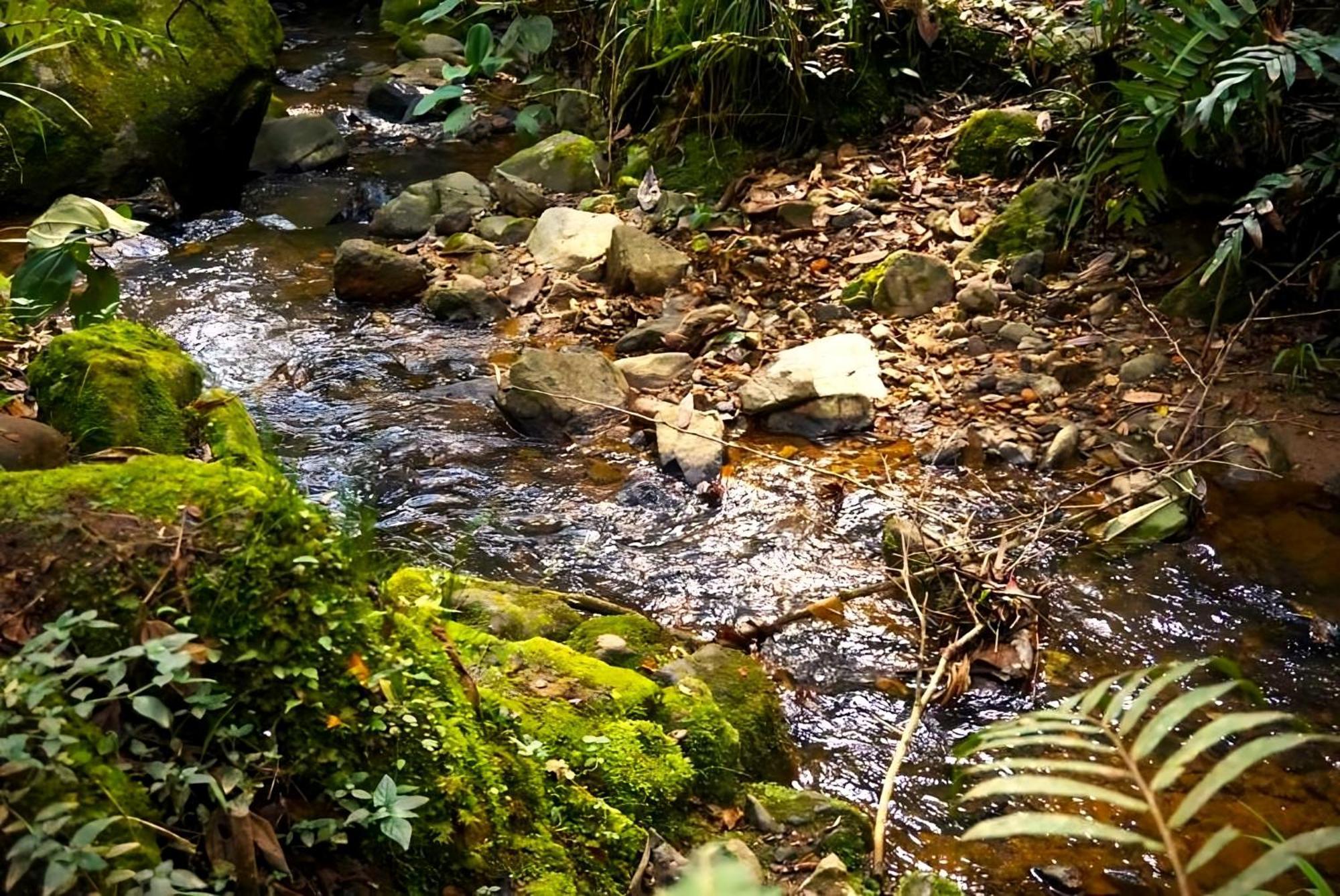 Encanto Minicasitas En Medio De La Naturaleza سانتا إيلينا المظهر الخارجي الصورة