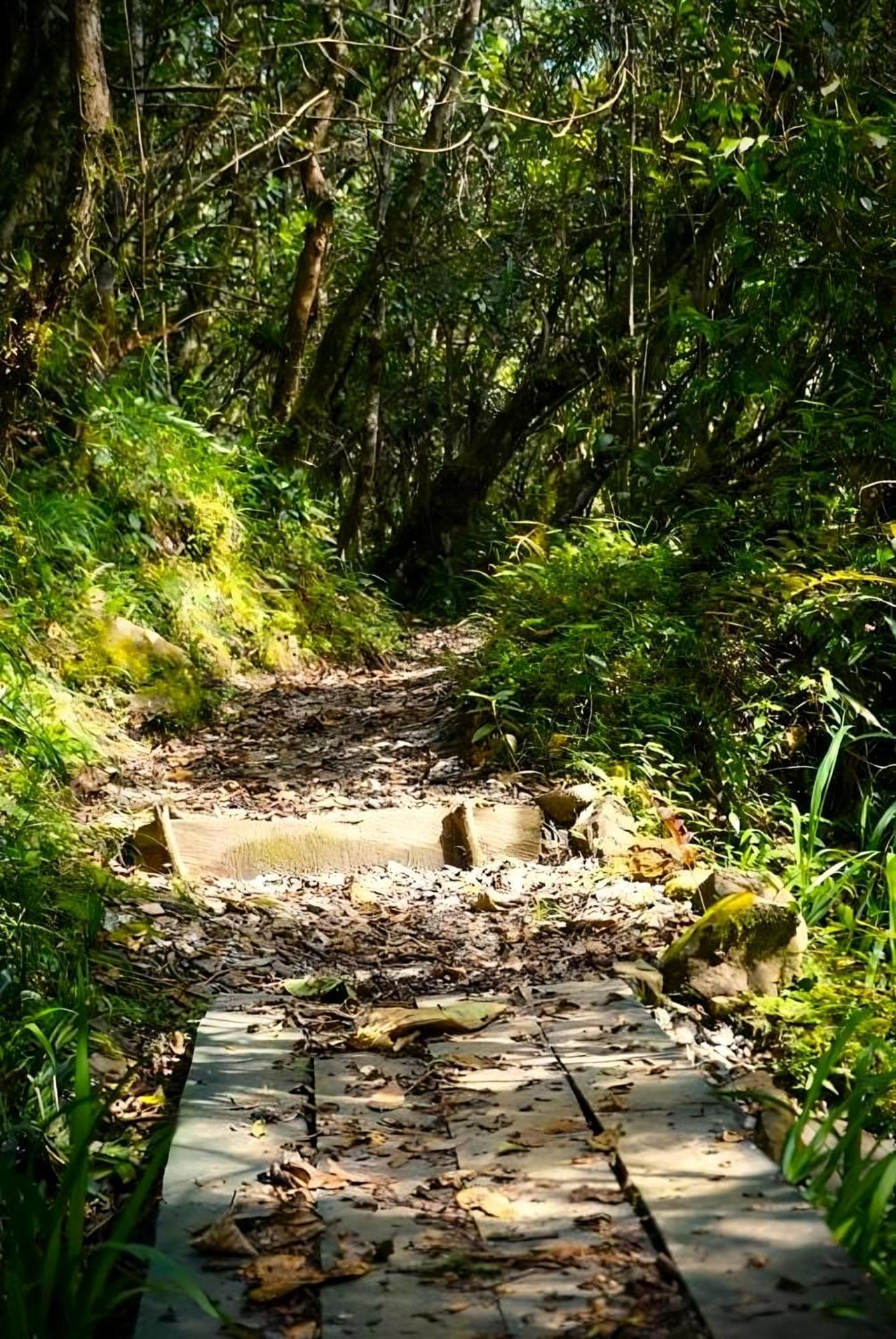 Encanto Minicasitas En Medio De La Naturaleza سانتا إيلينا المظهر الخارجي الصورة