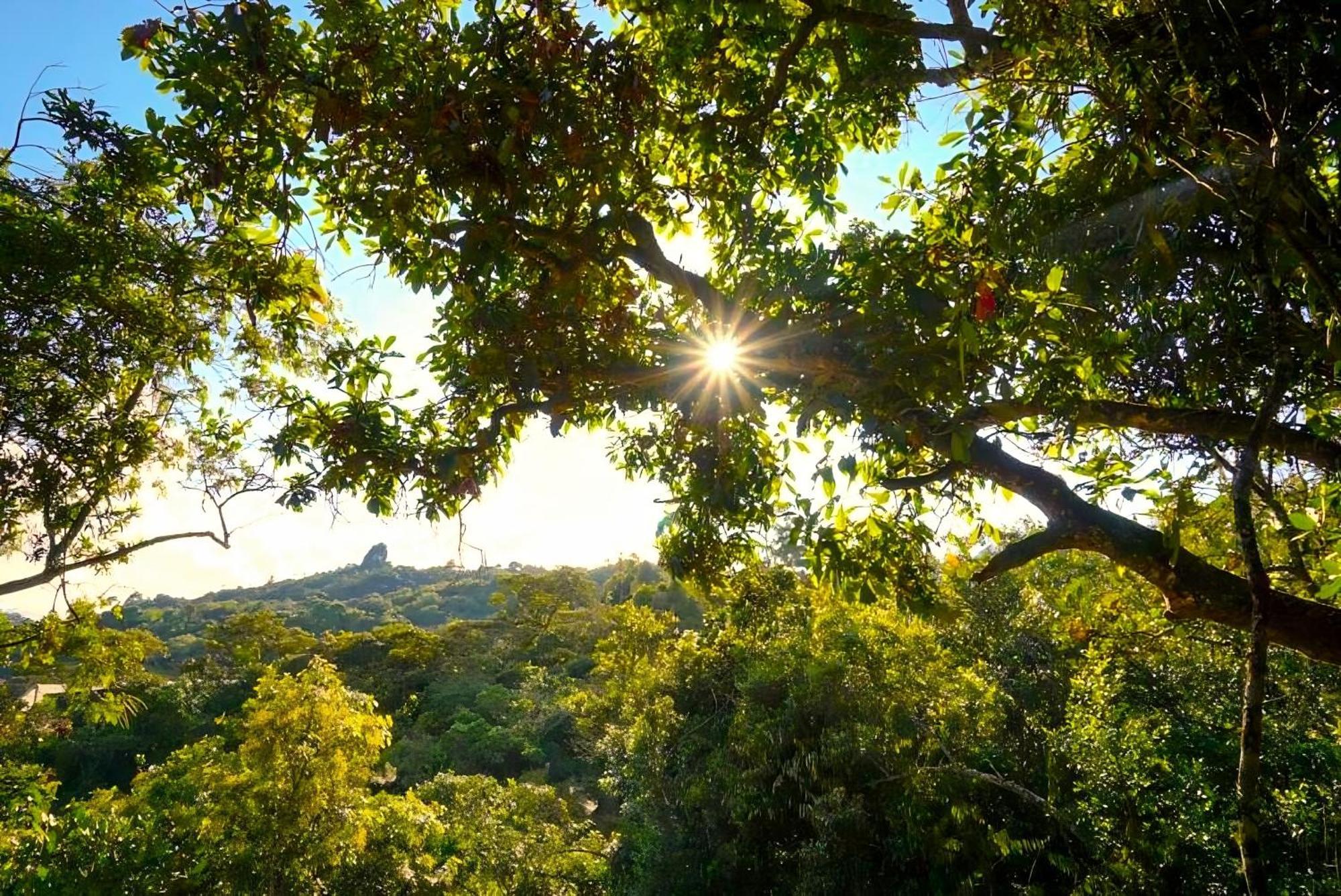 Encanto Minicasitas En Medio De La Naturaleza سانتا إيلينا المظهر الخارجي الصورة
