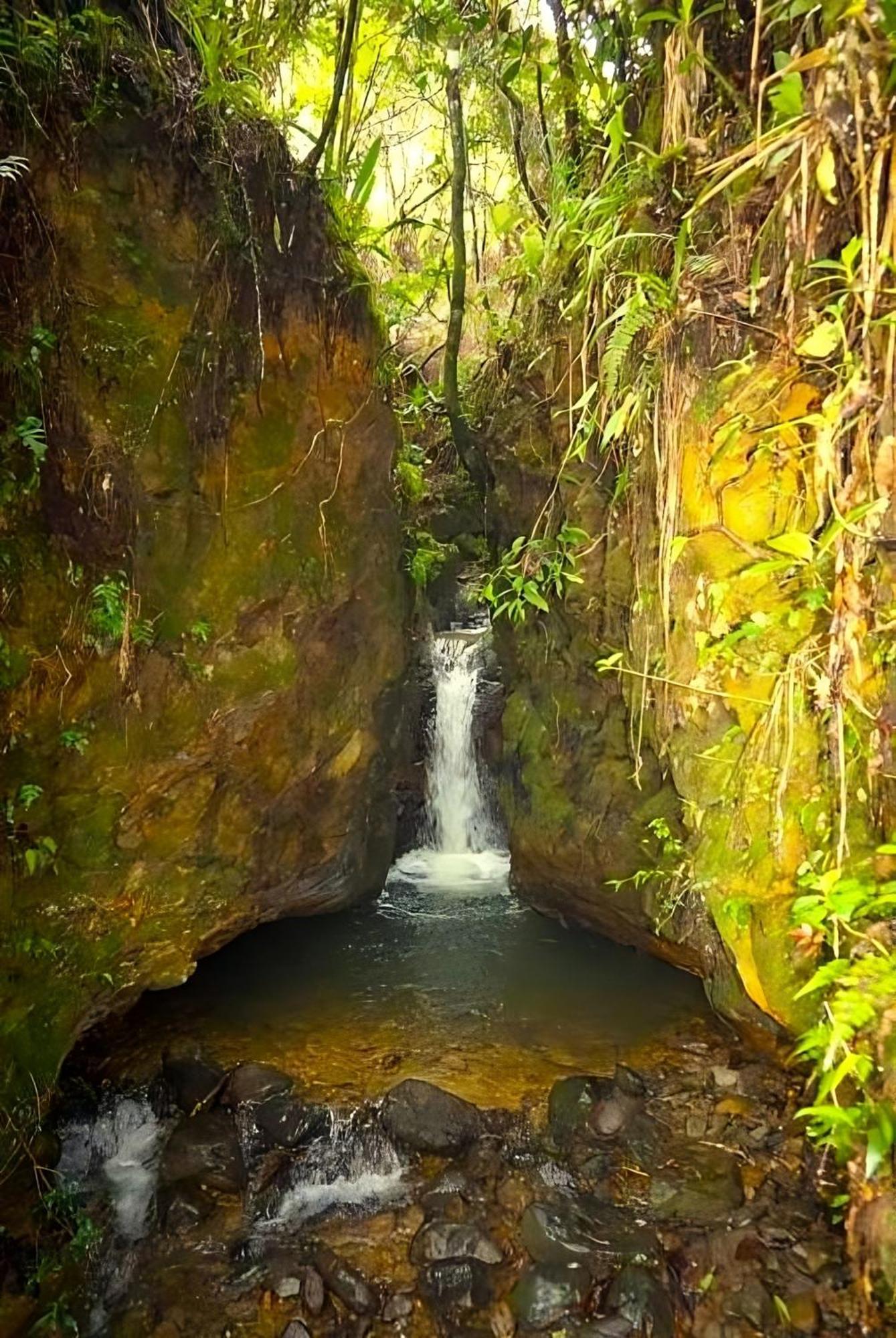 Encanto Minicasitas En Medio De La Naturaleza سانتا إيلينا المظهر الخارجي الصورة